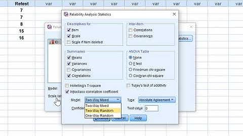 Test-retest and interrater reliability on SPSS