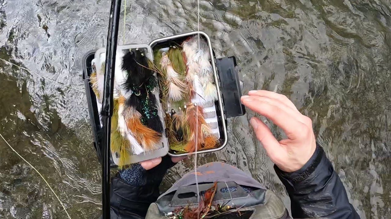 The transition to full blown STREAMER JUNKIE! Winter fly fishing. YouTube