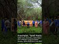 அகில பாரத ஐயப்பா சேவா சங்கம் அரச்சலூர் வாய்க்கால் பகுதி, நாகமலை வணபகுதி யில் பனைமரம் விதை நடுதல்
