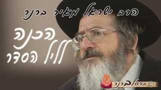 הרב ברנר-הכנה לליל הסדר(14)