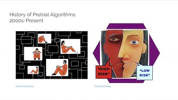 "Algorithms and Pre-Trial Assessment" Mini-Lecture
