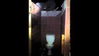 В Ботсване слоны превратили общественный туалет в место для водопоя 4 фото видео » Триникси elephant В Ботсване слоны превратили общественный туалет в место для водопоя 4 фото видео » Триникси elephant