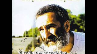 Taşkın Aşan - Dayanamam Resimi