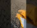 yeni arazi yeni paralar yeni tektek#keşfet #metaldetecting #trendingshorts #shorts
