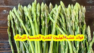 اسرار عشبةالهليون للقدره الجنسية للرجال