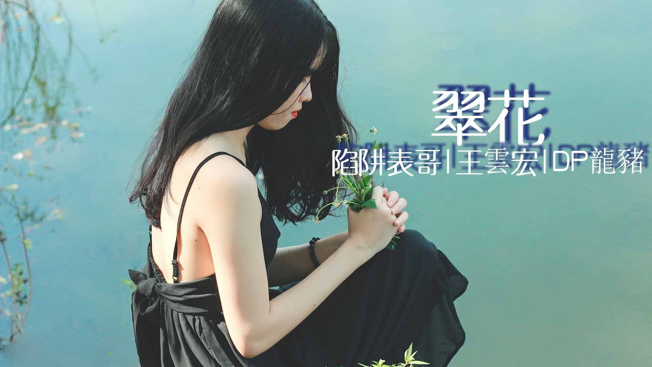 翠花-DP龍豬,王雲宏,陷阱表哥『哦翠花，我的姑娘，翠花，在哪兒』【動態歌詞MV】 - YouTube