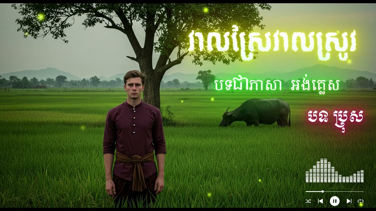 វាលស្រែវាលស្រូវ បទប្រុស​ | Ai Cover Song | English Version 2025