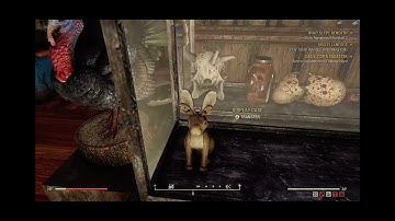 Fallout 76 How to put plushies in display cases!
