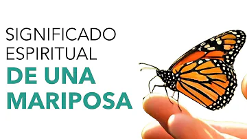 ¿Por qué vuela una mariposa a mi alrededor?