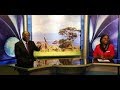 LIVE Habari Za Hivi Punde Na Matukio Mbalimbali Kutoka TBC1 Usiku Huu LIVE Habari Za Hivi Punde Na Matukio Mbalimbali Kutoka TBC1 Usiku Huu