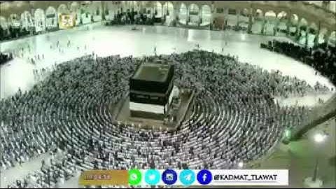 الشيخ بندر بليلة | (وَأَتِمُّوا الْحَجَّ وَالْعُمْرَةَ لِلَّهِ  ) من سورة البقرة في صلاة العشاء