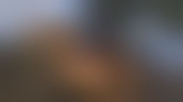 The Elder Scrolls Online: Introduction to Thieves Guild