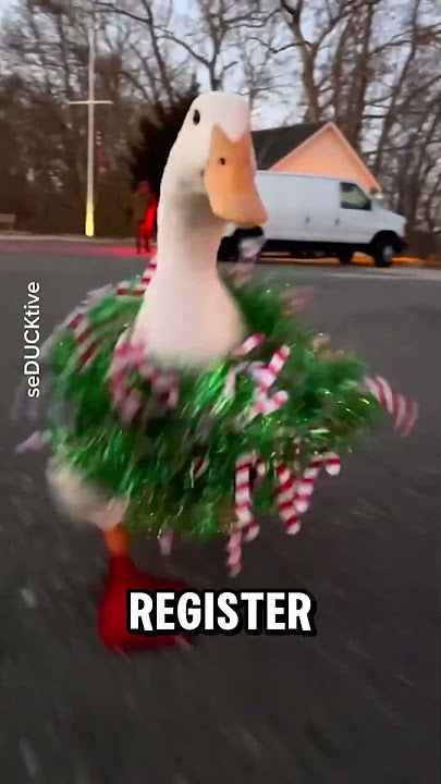 this duck's goal is achieved, can participate in the marathon race #shorts