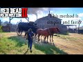 rdr2 Stealing an oil wagon for John Cornwall Oil Wagon. Tips gameplay RED DEAD REDEMPTION2.