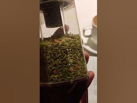 Это натуральная индийская жвачка - YouTube