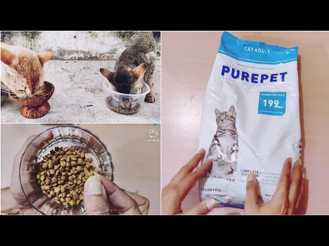 Purepet Cat Food Review | Best Cat Food In India.