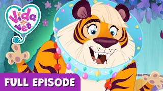 Koa Loves His Cone | Vida the Vet | Episode 115B | Cartoons for Kids