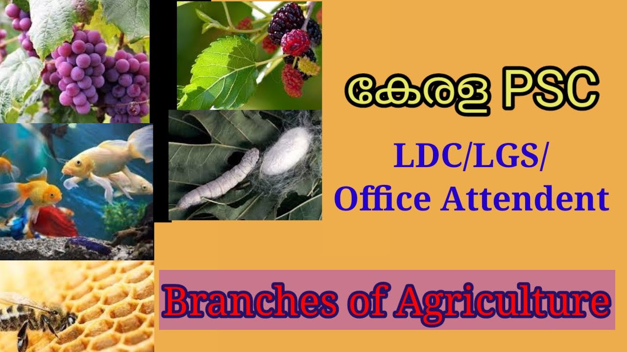 Branches of agriculture Kerala psc coaching YouTube