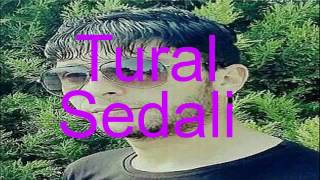 Tural sedali kasib sevdasi Resimi