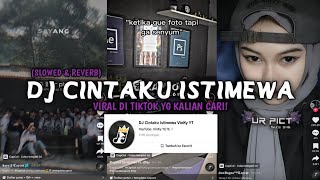 DJ CINTAKU ISTIMEWA SOUND Vinky YT (SLOWED \u0026 REVERB) VIRAL DI TIKTOK YG KALIAN CARI ‼️