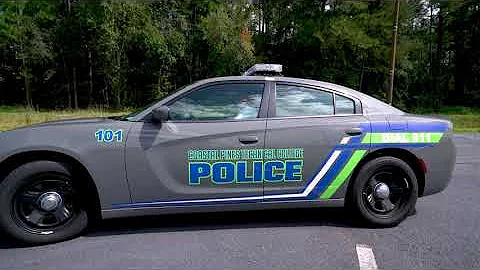 Basic Traffic Stop