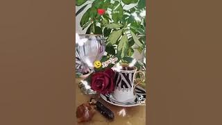 فيروز لا ورد في عنا و لا ياسمين