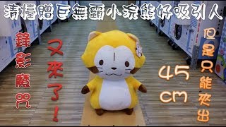 【浪費錢夾娃娃#45】錄影魔咒來襲...清台獎巨大小浣熊好吸引人!但是我們先夾小隻的就好~ 【浪費錢夾娃娃#45】錄影魔咒來襲...清台獎巨大小浣熊好吸引人!但是我們先夾小隻的就好~
