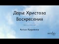 Дары Христова Воскресения - Антон Кириенко