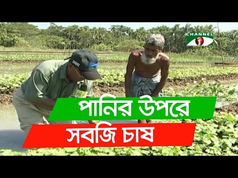 ভিডিও: সবজির নিচে নদী কার্প