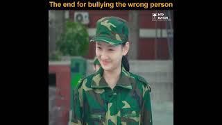 The end for bullying the wrong person