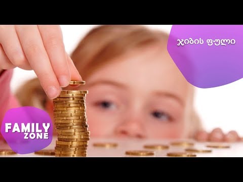 ჯიბის ფული / ფსიქოლოგი ელენე ჯაფარიძე