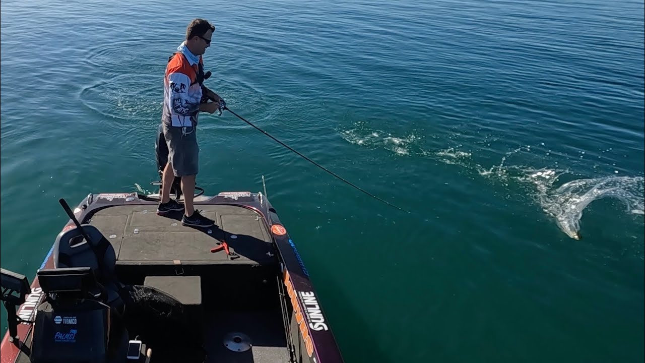 Hot Fishing in Hervey Bay with SOFT PLASTICS YouTube