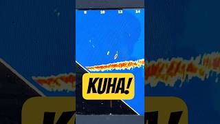 Jarru oli kyl löysäl ihme pysy kii... #KUHA