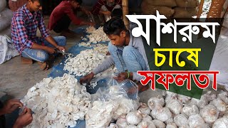 সহজ পদ্ধতিতে মাশরুম চাষে সফলতা | কিভাবে মাশরুম চাষ করা হয় | Mushroom cultivation in bangladesh