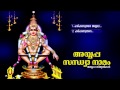 അയ്യപ്പ സന്ധ്യാനാമം | Ayyappa  Sandhyanamam | Hindu Ayyappa Devotional Songs Malayalam