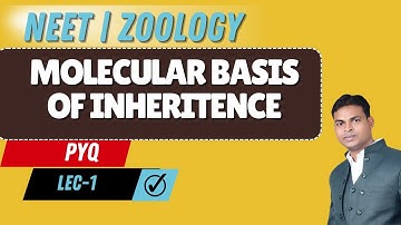 NEET | ZOOLOGY | MOLECULAR BASIS OF INHERITENCE PYQs