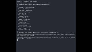 tinytag-rs — A Faithful Rust Port of tinytag | Code Resurrection 2026, Track D