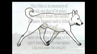 In Memory of my dog, Micah (with animation) by Silver Cross Fox 533 views 11 years ago 2 minutes, 25 seconds