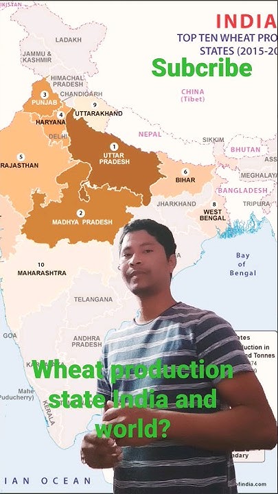 Wheat Production State In India And World By Emran shorts viral wheat-production-state-in-india-and-world-by-emran-shorts-viral