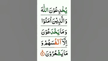 سوره بقره آیه 9 | قرآن را آیه به آیه یاد بگیرید