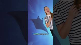 Rayas y Mantarrayas #shorts #educacionambiental #faunamarina
