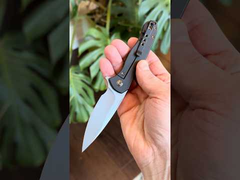 WE Knife Co Kitefin S35VN Titanium Framelock Carbon Fiber Showside folding knives 