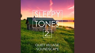 Quiet Village Soundscape, Pt. 7