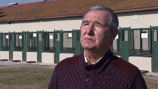 Kangal Ve Akbaş Yavruları Karacabey Ti̇gem De..