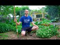 Full New Jersey Garden Tour, Organic Backyard Gardening