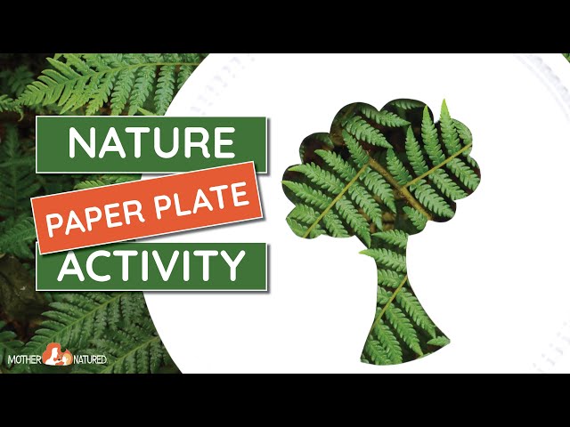 8 Christmas paper plate craft ideas – Childsplayabc ~ Nature is our  playground