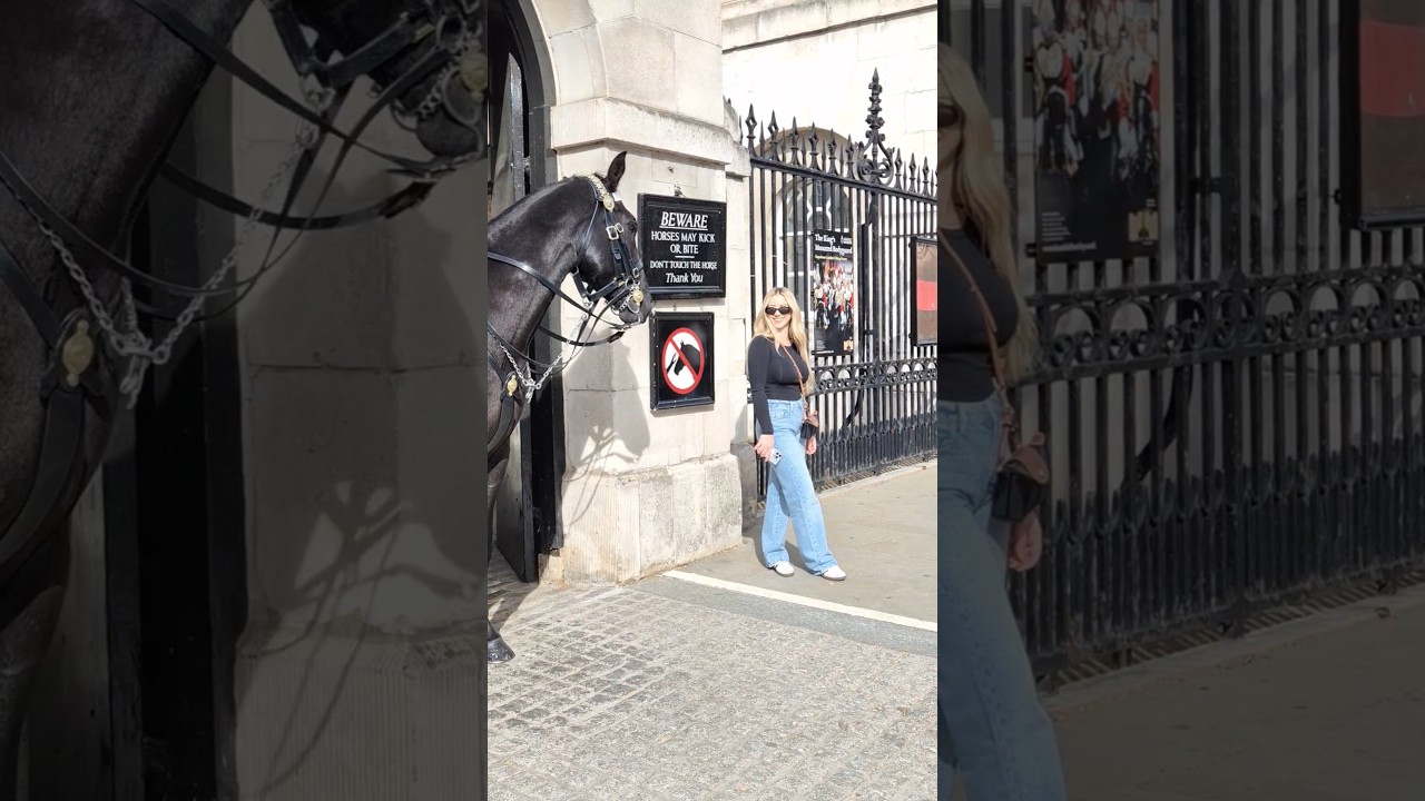 SHE OFFERED THE HORSE AN APPLE 