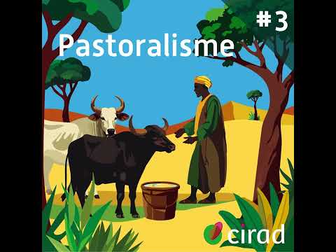 Shared Fallow Land #3 | Pastoralism