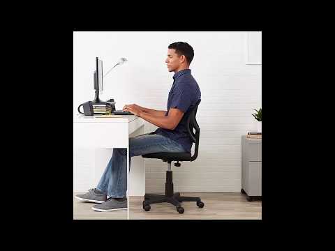 amazonbasics low back computer chair youtube