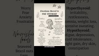 emotions stored in thyroid #body #mind #soul #bodybuilding